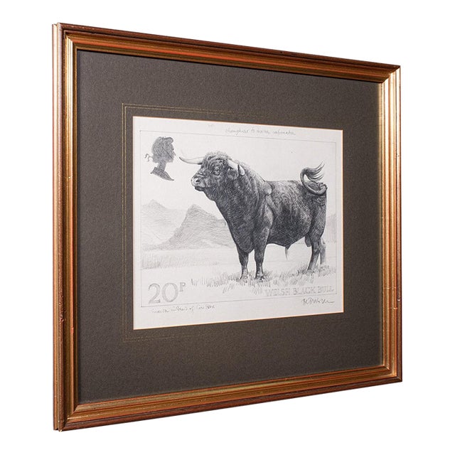 Vintage Stamp Proof Sketch, English, Barry Driscoll, Welsh Black Bull, Framed For Sale