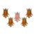 Murano Wall Sconce Crystal Felci - Set of 5 For Sale