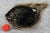 An Early Folk Black Lacquered Wood Fish Serving Platter / Wall Hanging, c. Early 20th Century - Pairs Nicely with Many...