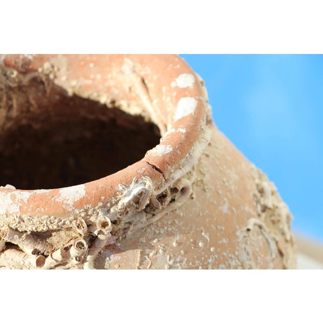 Brown 19th Century Antique Terracotta Octopus Trap Undersea Pot For Sale - Image 8 of 13