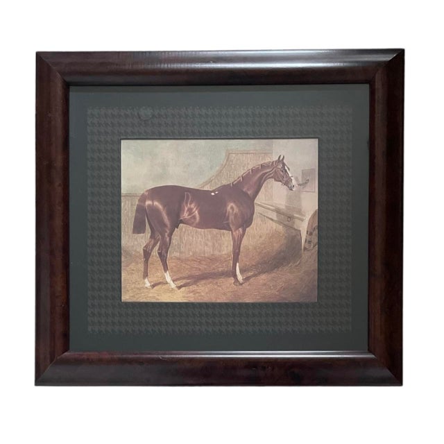 This set consists of four vintage thoroughbred horse prints, each framed and matted. The prints measure 18.5" in height...