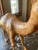 Mid-Century Modern Leather Camel For Sale - Image 3 of 6