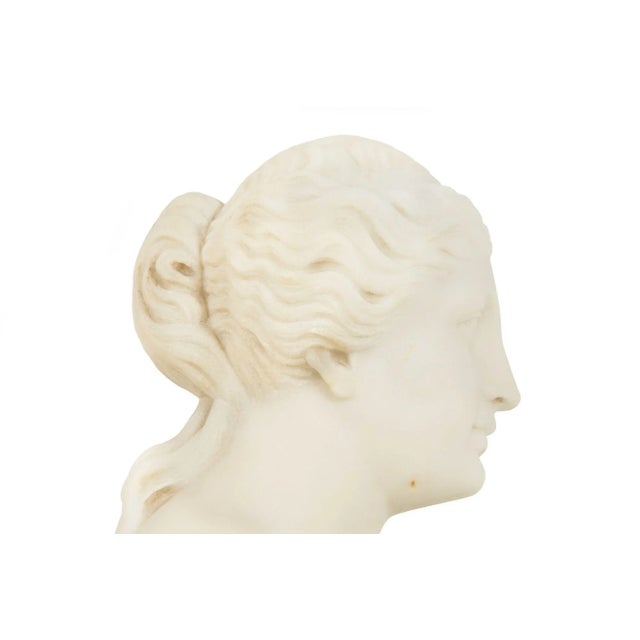 Italian Grand Tour Carved Alabaster Bust of Venus of Milo, 20th Century For Sale - Image 12 of 18