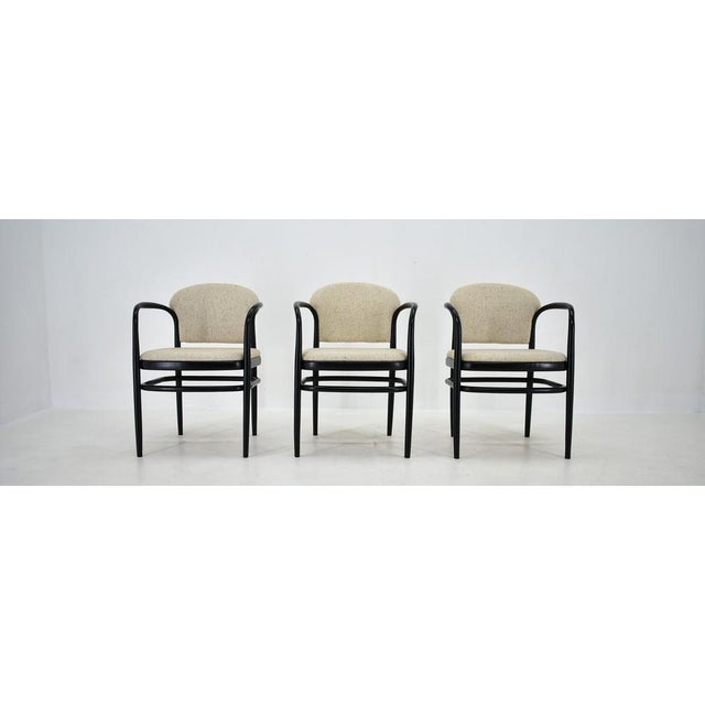 3-Dining Chairs attributed to Antonín Šuman, 1960s, Set of 3 For Sale - Image 13 of 14