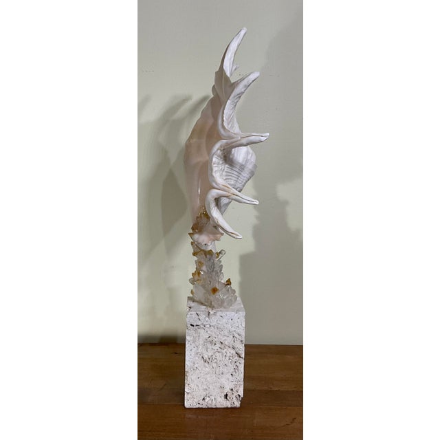 Sand Exquisite Fine Art Shell & Crystal Sculpture by Joseph Malekan For Sale - Image 8 of 15