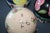 CORRECTION TO SHIPPING TIME, THIS IS SELLER SHIPPING, ARRIVAL TIME IS 4-10 DAYS FROM PURCHASE DATE. 3 ceramic globes are...