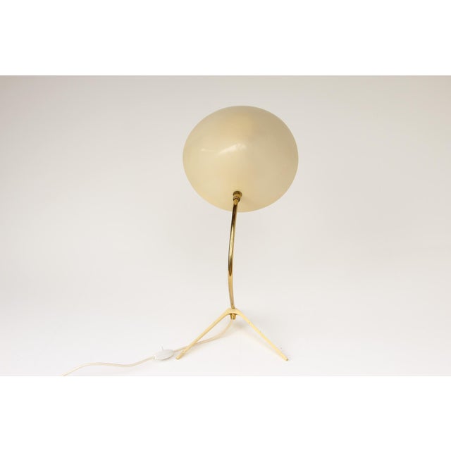 Table Lamp, Germany, 1950s For Sale - Image 15 of 18