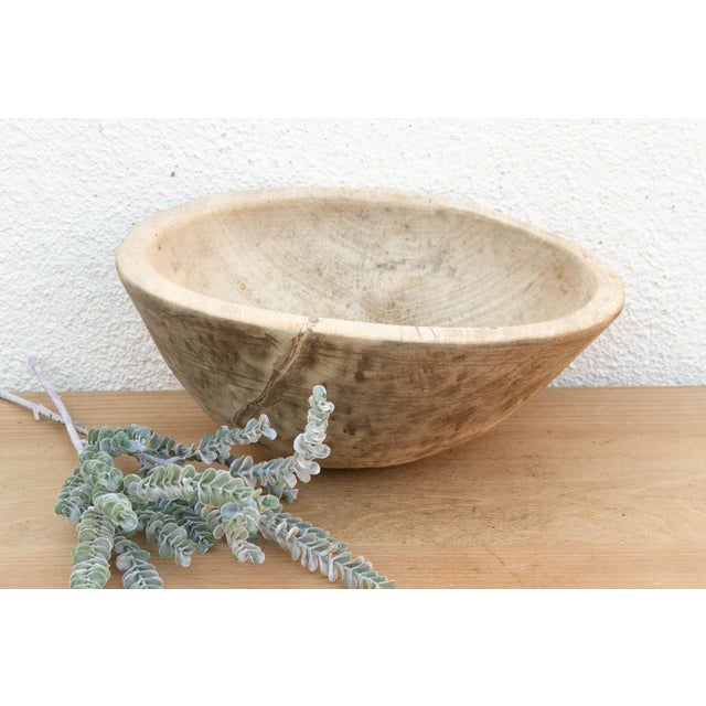 Tan African Kitchen Bowl W/Light Finish For Sale - Image 8 of 8