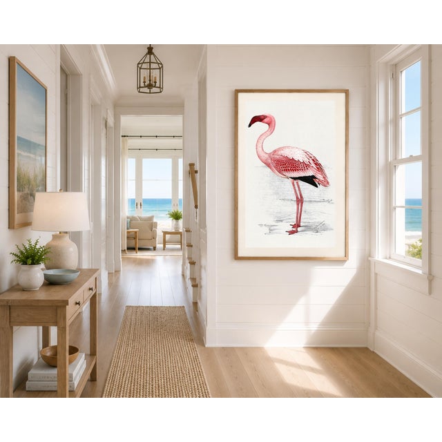 Lesser Flamingo by C. G. Finch-Davies, Vintage Reproduction Bird Art Print, 32" × 48" For Sale - Image 4 of 10