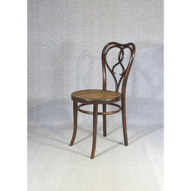 Art Nouveau New York Chairs by Michael Thonet for Gebrüder Thonet, 1925, Set of 6 For Sale - Image 13 of 15