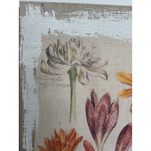 Botanical Canvas Wall Art- Set of 4 For Sale - Image 11 of 12
