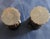 Antique Treenwear Gothic Oak Eggcups, 1890s, Set of 2 For Sale - Image 4 of 7