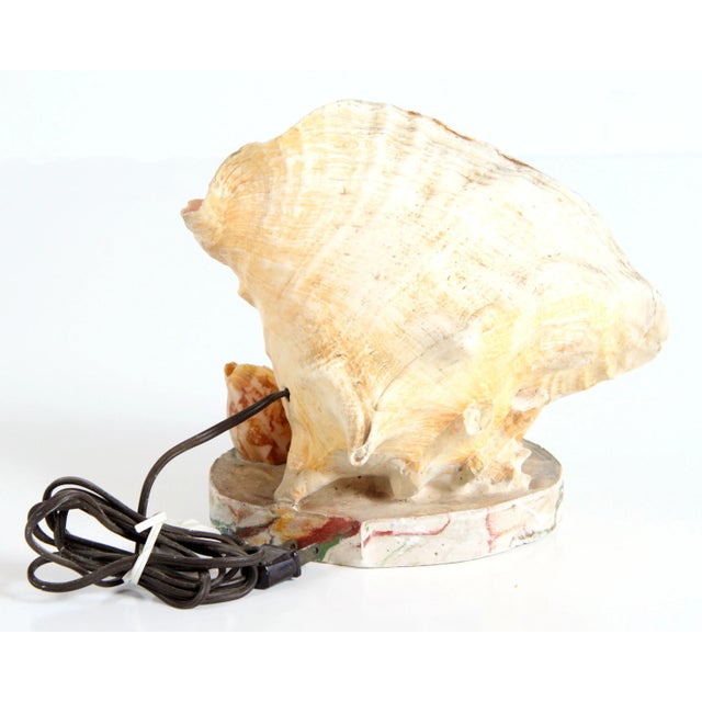 Vintage 1970's Nautical Conch Shell Lamp With Starfish For Sale In Providence - Image 6 of 8