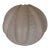 Arteriors White Sea Urchin Shell Sculpture (Large) For Sale