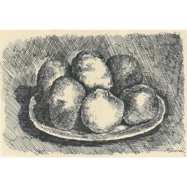 Giorgio Morandi, Six Apples in a Dish, 1957, Lithograph For Sale - Image 4 of 7