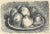 Giorgio Morandi, Six Apples in a Dish, 1957, Lithograph For Sale - Image 4 of 7
