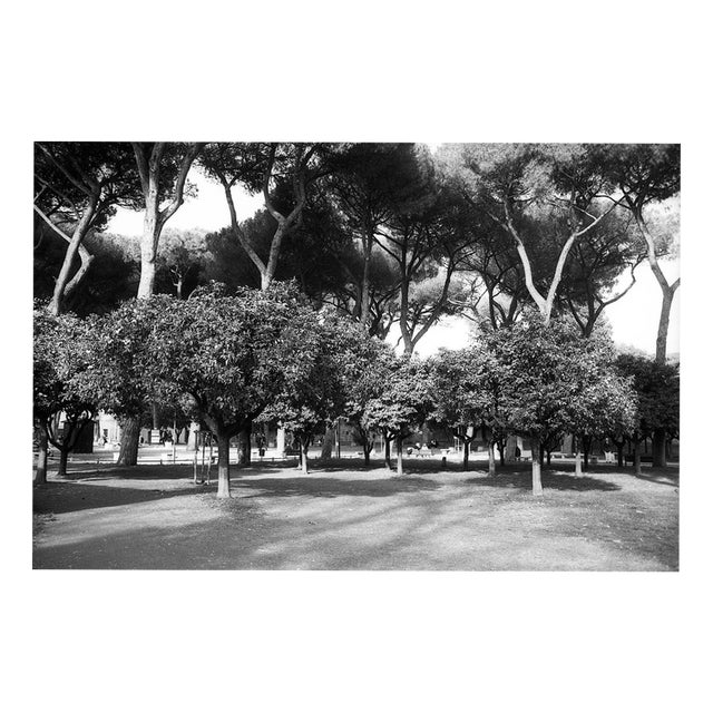 Paul Cooklin, Rome Italy 00281, Edition of 50 For Sale