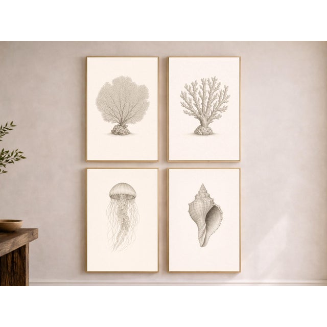 Contemporary Coastal Sea Life Study Collection, Minimal Botanical & Shell Art Prints, 24" × 36" (Set of 4) For Sale - Image 3 of 12