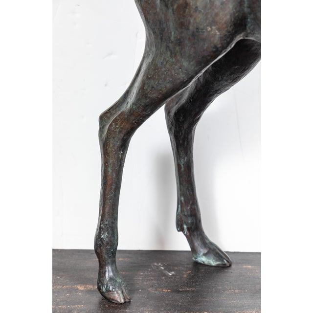 Large, Cast Bronze Doe, circa 1940 For Sale - Image 9 of 9