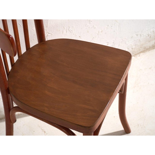 Bentwood Chairs in the style of Thonet, Central Europe, 1930, Set of 4 For Sale - Image 14 of 15