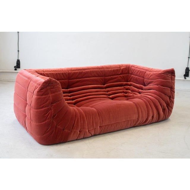 Vintage Two-Seat Togo Sofa with Arms in Burgundy Velvet by Michel Ducaroy for Ligne Roset, 1970s For Sale - Image 6 of 18