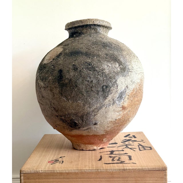 Large Japanese Contemporary Shigaraki Tsubo with Tomobako by Shiro Tsujimura For Sale - Image 12 of 18