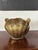 Vintage Mid-Century Brass Seashell Planter For Sale In Nashville - Image 6 of 6