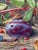 Late 20th Century Ronald Bateman Surreal/ Fantasy Large Oil on Canvas For Sale In Philadelphia - Image 6 of 10