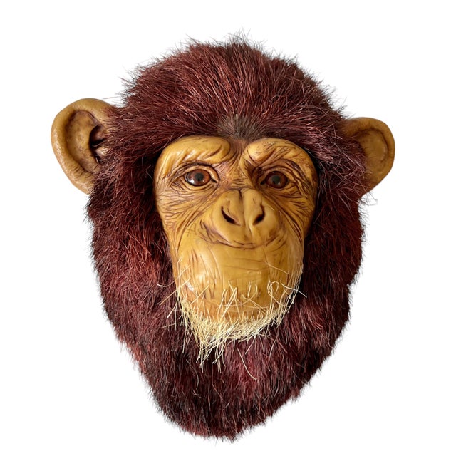2000 - 2009 Anne Andersson, Monkey Head Natural Sisal Fiber Clay Sculpture Chimpanzee Anne Andersson Art, 2009 For Sale - Image 5 of 10