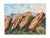 Chestnut Mountain Scene Boulder Flatirons Original Painting by L. Romo, 2026 For Sale - Image 8 of 8