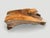 Andrianna Shamaris Impressive Single Teak Root Coffee Table For Sale - Image 18 of 18