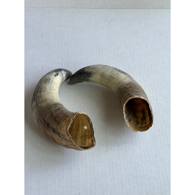 Tribal Deocrative Vintage Horns For Sale - Image 3 of 5