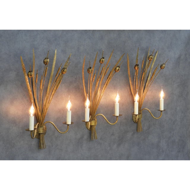 Spanish Gilt Tole Reed and Seed Head Wall Sconce, 1960 For Sale - Image 4 of 10