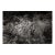 Landscape Digital Archival Print "Bush #4" by Jacques Gael Cressaty 2025 For Sale