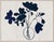 Susan Hable is a renowned artist and designer based in Athens, Georgia, known for her bold and colorful works. Co-founder...