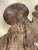 17th Century Carved Wooden Throne Canopy For Sale - Image 12 of 13