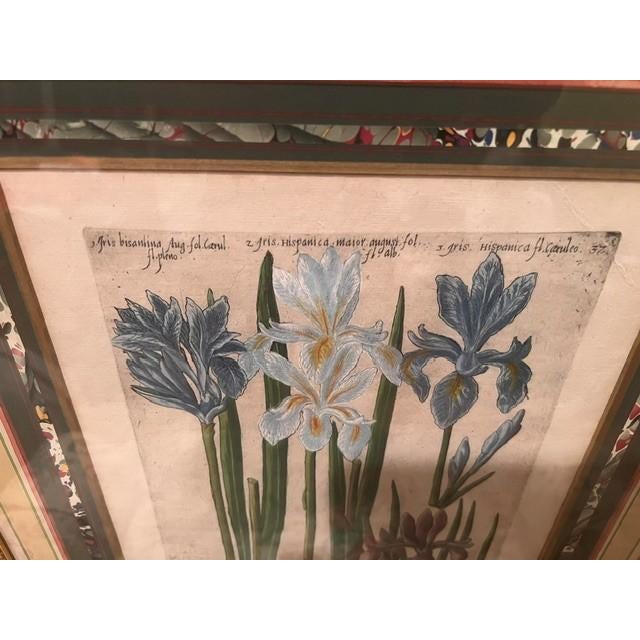 This is a framed, hand-colored copperplate engraving by artist Emanuel Sweerts, originally published in his 1612...