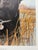 1990s Jim Killen Sporting Dog Art Great Retrievers Black Lab (20"x17") That's My Dog Open Edition For Sale - Image 4 of 5