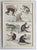 Monkey, 1830s, Paper, Framed, Set of 10 For Sale - Image 9 of 12