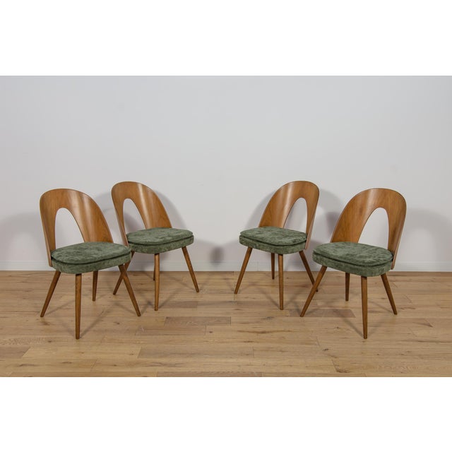 Set of 4 vintage dining chairs by Antonin Suman for Tatra in the 1960s. Beech wood chairs, walnut woods veneered...