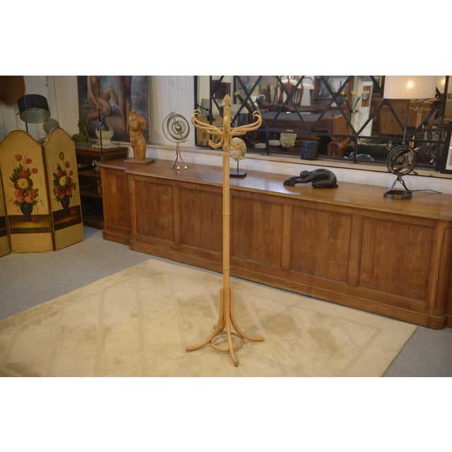 Wood Curved Beechwood Coat Rack, 1970s For Sale - Image 7 of 9