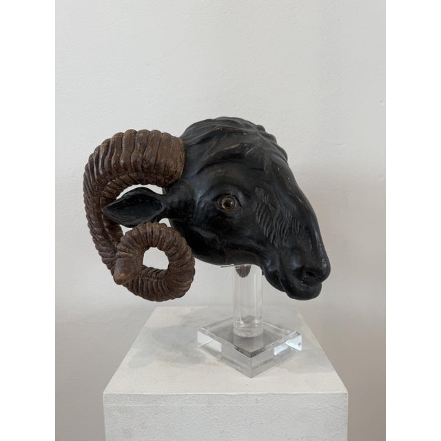 Northern European Artist, Ram's Head, 19th Century, Wood For Sale - Image 9 of 14