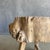 Vintage Elm Wood Chop Block Table For Sale - Image 4 of 8