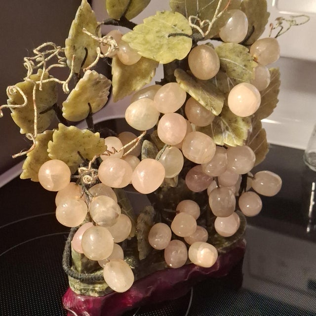 Grape Vines Bonsai Tree For Sale - Image 9 of 12