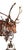 Antique Art Nouveau Chandelier, 1890s For Sale - Image 13 of 15