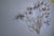 Flower Sculpture from Curis Jeré, 1970s For Sale - Image 6 of 13