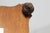 Vintage Italian World Desk Globe For Sale - Image 14 of 15