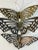 Metal Vintage Set of 3 Brass Butterfly Wall Hangings For Sale - Image 7 of 13