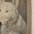 Gray Frederick Thomas Daws, Antique English Bull Terrier, Oil on Canvas, 1920, Framed For Sale - Image 8 of 13