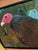 “Dead Skunk” Turkey Vulture Painting by LWren Walraven For Sale In Santa Fe - Image 6 of 15
